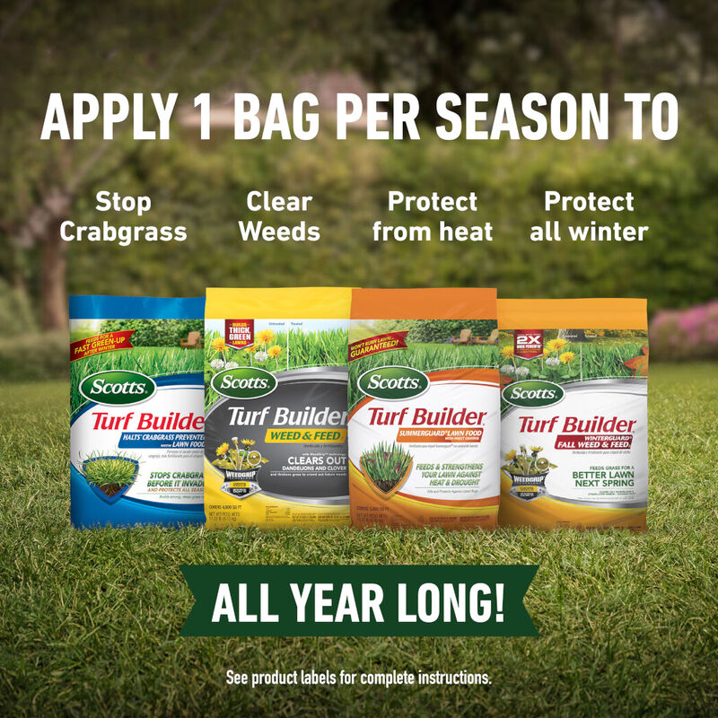 Scotts® Turf Builder® Bundle for Small, Northern Lawns + Scotts® Turf Builder® EdgeGuard® Mini Broadcast Spreader image number null